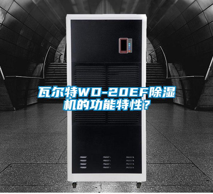 瓦爾特WD-20EF除濕機的功能特性？