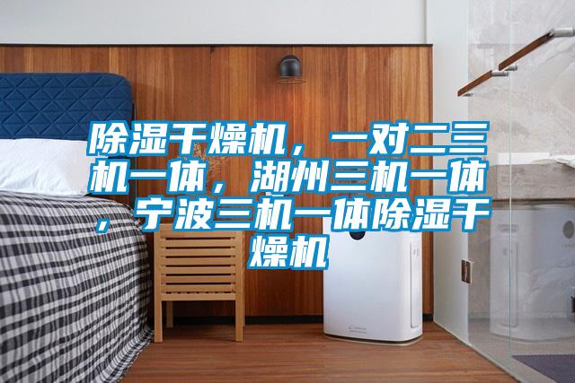 除濕干燥機，一對二三機一體，湖州三機一體，寧波三機一體除濕干燥機