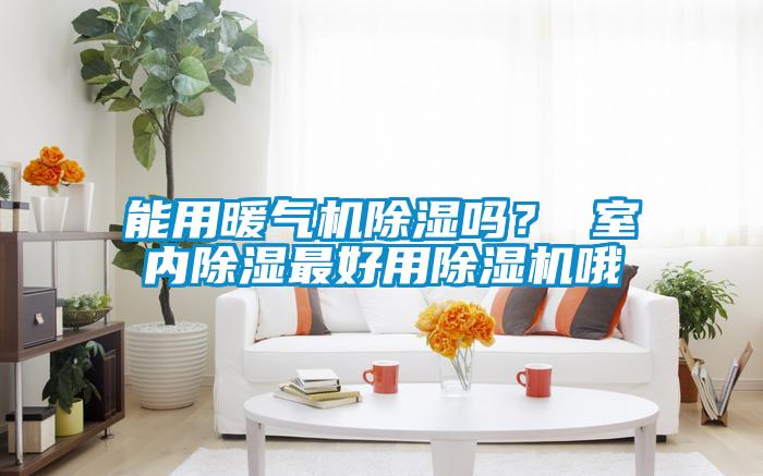 能用暖氣機除濕嗎？ 室內除濕最好用除濕機哦