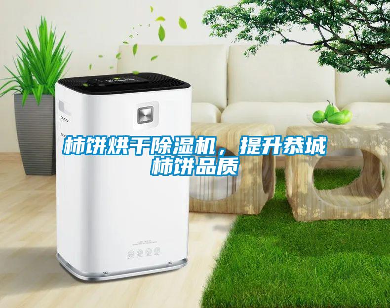 柿餅烘干除濕機，提升恭城柿餅品質(zhì)