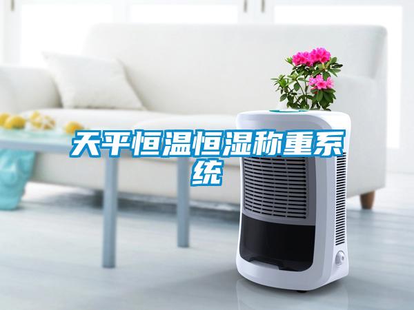 天平恒溫恒濕稱(chēng)重系統