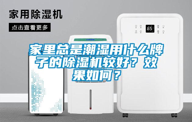 家里總是潮濕用什么牌子的除濕機較好？效果如何？