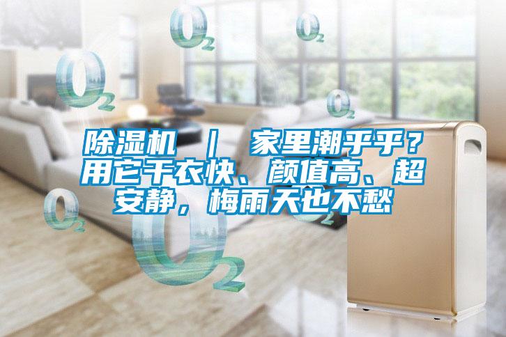 除濕機 ｜ 家里潮乎乎？用它干衣快、顏值高、超安靜，梅雨天也不愁