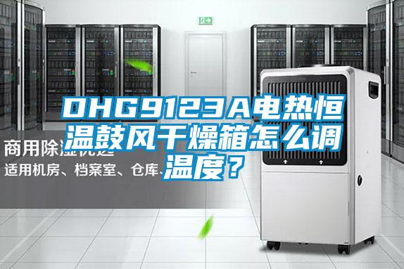 DHG9123A電熱恒溫鼓風(fēng)干燥箱怎么調溫度？