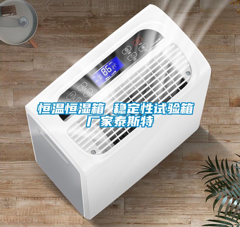 恒溫恒濕箱 穩定性試驗箱 廠(chǎng)家泰斯特