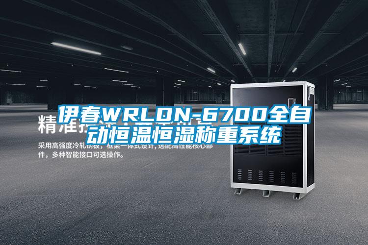 伊春WRLDN-6700全自動(dòng)恒溫恒濕稱(chēng)重系統