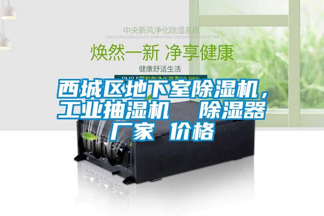 西城區地下室除濕機，工業(yè)抽濕機  除濕器廠(chǎng)家 價(jià)格