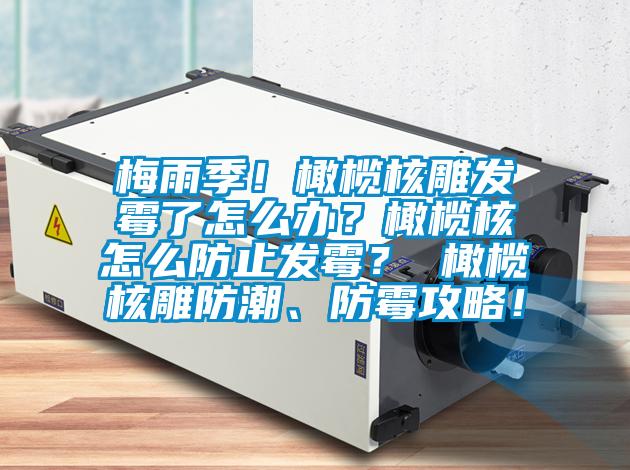 梅雨季！橄欖核雕發(fā)霉了怎么辦？橄欖核怎么防止發(fā)霉？ 橄欖核雕防潮、防霉攻略！