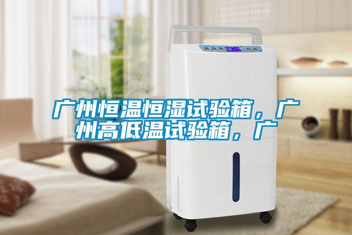 廣州恒溫恒濕試驗箱，廣州高低溫試驗箱，廣