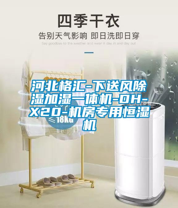 河北格匯-下送風(fēng)除濕加濕一體機-DH-X20-機房專(zhuān)用恒濕機