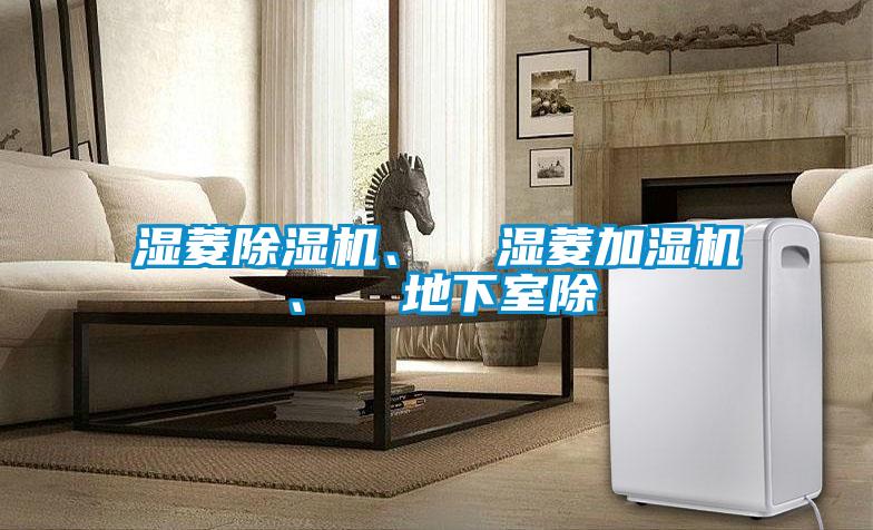 濕菱除濕機、  濕菱加濕機、  地下室除