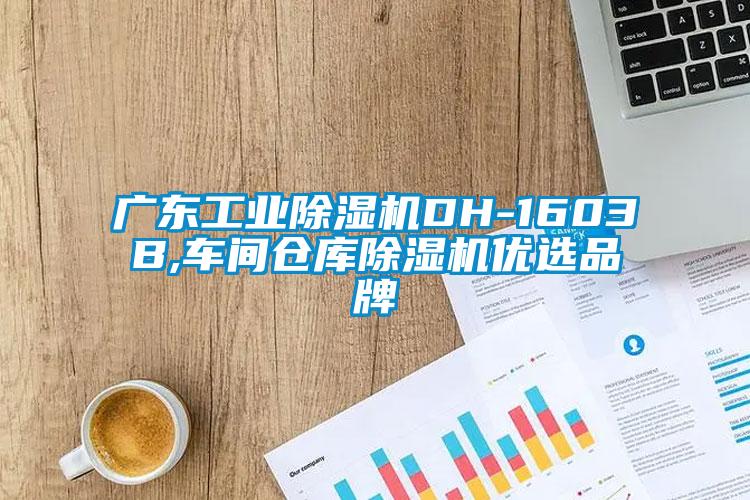 廣東工業(yè)除濕機DH-1603B,車(chē)間倉庫除濕機優(yōu)選品牌