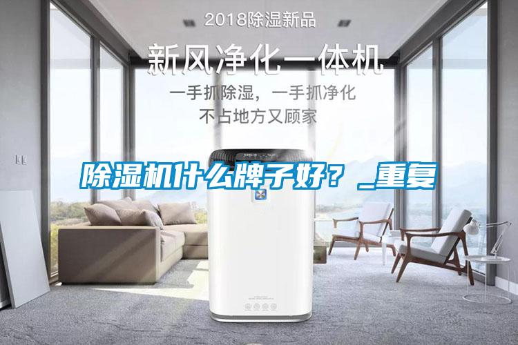 除濕機什么牌子好？_重復