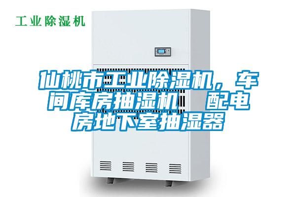 仙桃市工業(yè)除濕機，車(chē)間庫房抽濕機  配電房地下室抽濕器