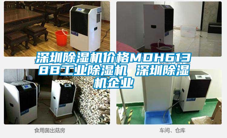 深圳除濕機價(jià)格MDH6138B工業(yè)除濕機 深圳除濕機企業(yè)