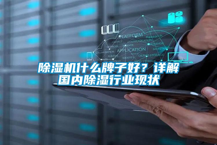 除濕機什么牌子好？詳解國內除濕行業(yè)現狀