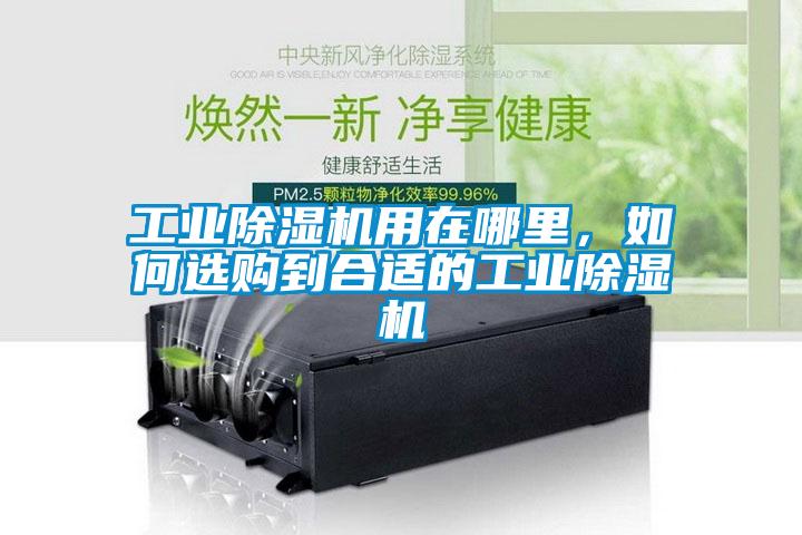 工業(yè)除濕機用在哪里，如何選購到合適的工業(yè)除濕機