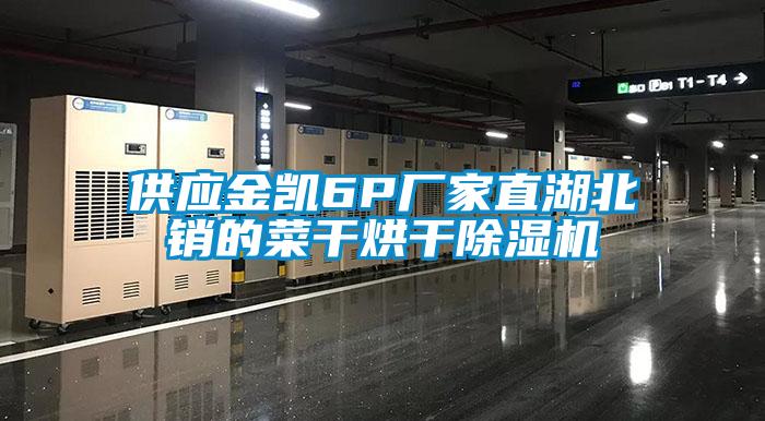 供應金凱6P廠(chǎng)家直湖北銷(xiāo)的菜干烘干除濕機