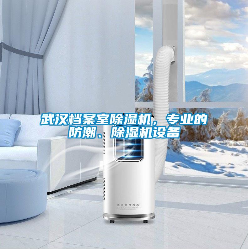 武漢檔案室除濕機，專(zhuān)業(yè)的防潮、除濕機設備