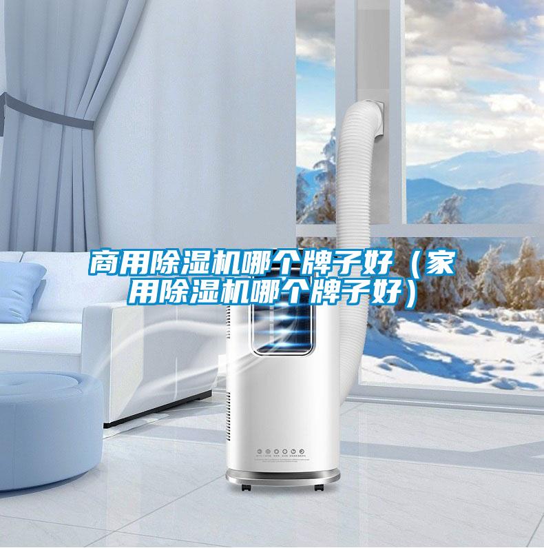 商用除濕機哪個(gè)牌子好（家用除濕機哪個(gè)牌子好）