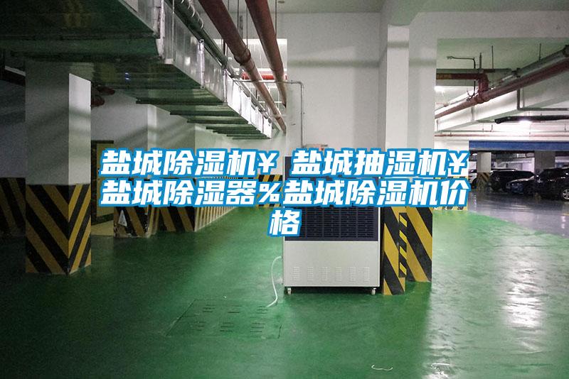 鹽城除濕機￥鹽城抽濕機￥鹽城除濕器%鹽城除濕機價(jià)格