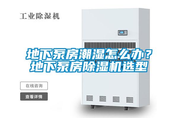 地下泵房潮濕怎么辦？地下泵房除濕機選型