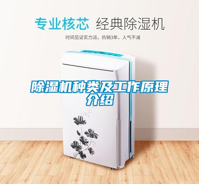 除濕機種類(lèi)及工作原理介紹