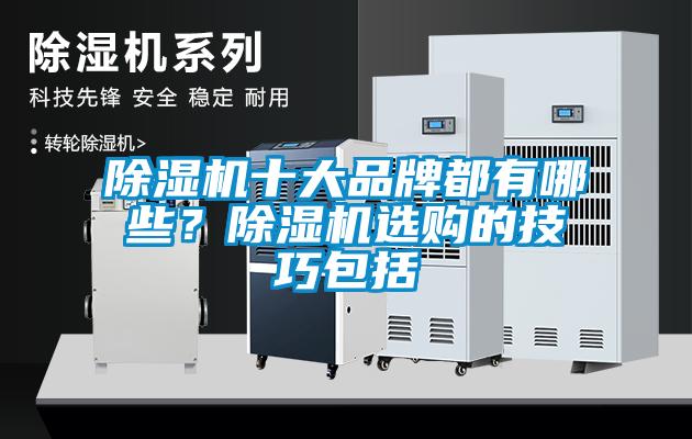 除濕機十大品牌都有哪些？除濕機選購的技巧包括