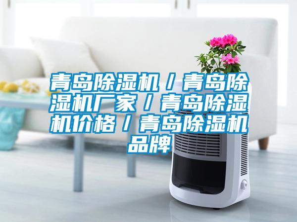 青島除濕機／青島除濕機廠(chǎng)家／青島除濕機價(jià)格／青島除濕機品牌