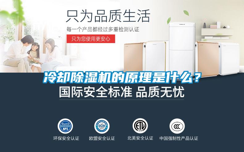 冷卻除濕機的原理是什么？