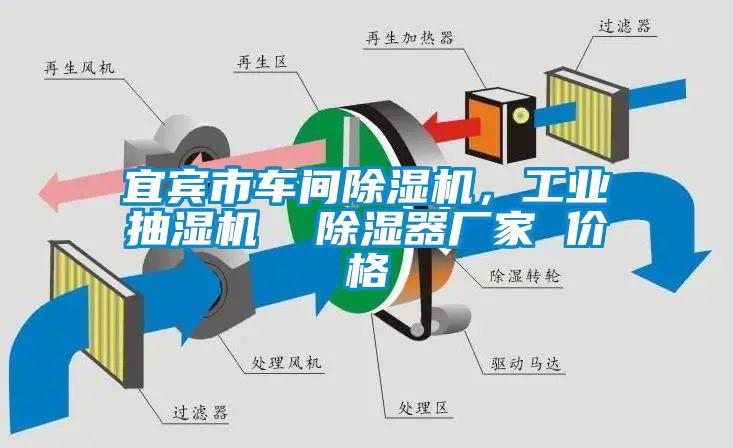 宜賓市車(chē)間除濕機，工業(yè)抽濕機  除濕器廠(chǎng)家 價(jià)格