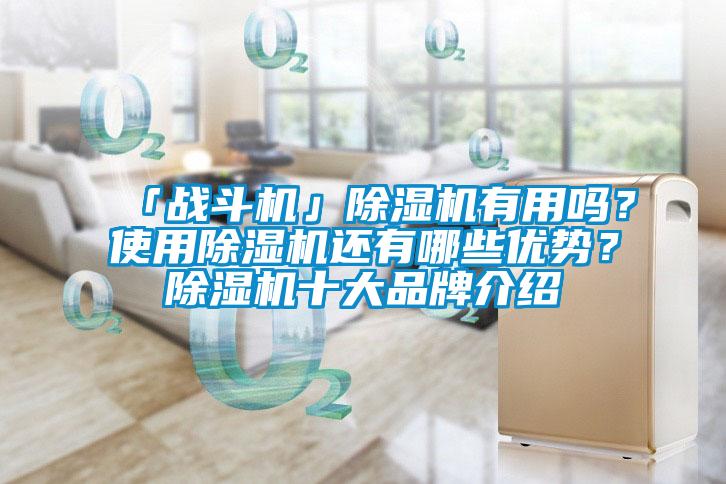 「戰斗機」除濕機有用嗎？使用除濕機還有哪些優(yōu)勢？除濕機十大品牌介紹
