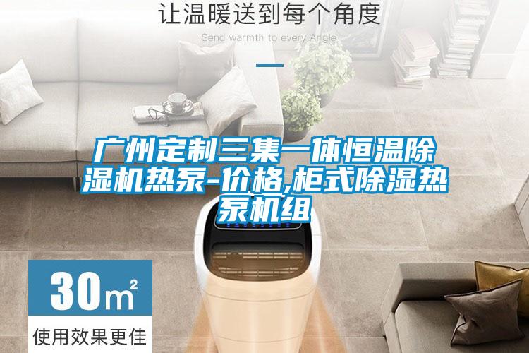 廣州定制三集一體恒溫除濕機熱泵-價(jià)格,柜式除濕熱泵機組