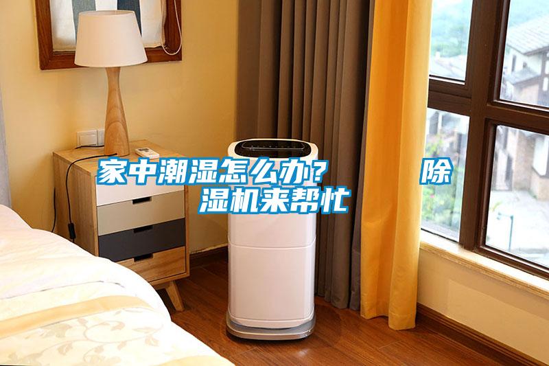 家中潮濕怎么辦？    除濕機來(lái)幫忙