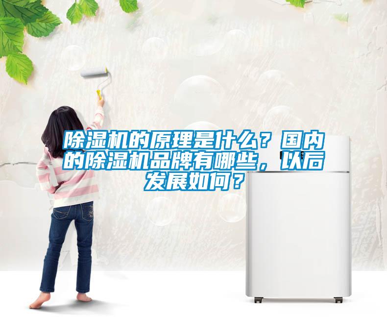 除濕機的原理是什么？國內的除濕機品牌有哪些，以后發(fā)展如何？