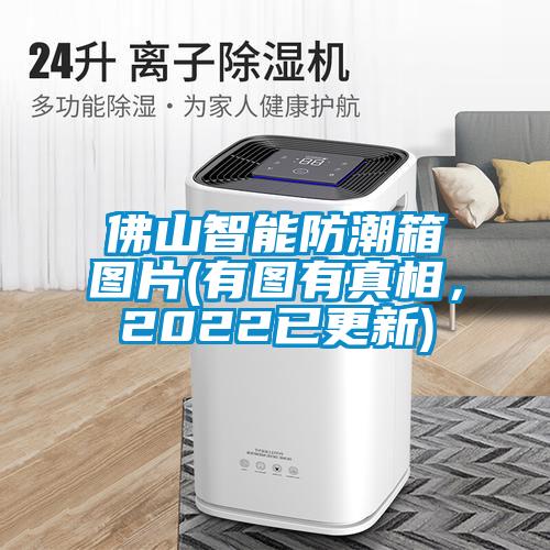 佛山智能防潮箱圖片(有圖有真相，2022已更新)