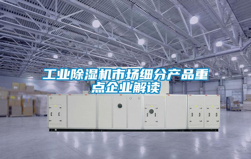 工業(yè)除濕機市場(chǎng)細分產(chǎn)品重點(diǎn)企業(yè)解讀