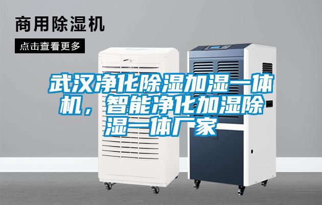 武漢凈化除濕加濕一體機，智能凈化加濕除濕一體廠(chǎng)家