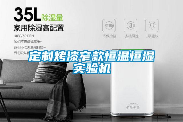 定制烤漆窄款恒溫恒濕實(shí)驗機