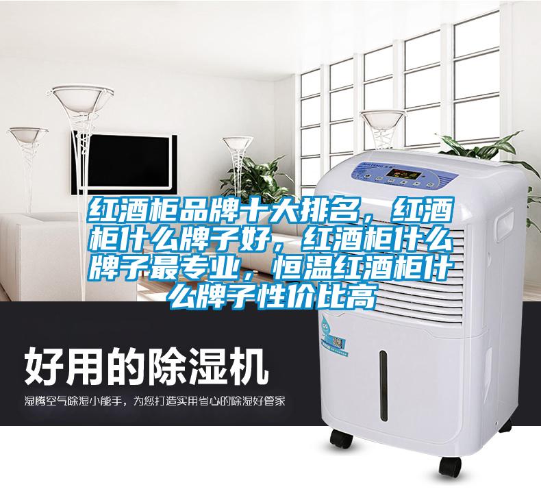 紅酒柜品牌十大排名，紅酒柜什么牌子好，紅酒柜什么牌子最專(zhuān)業(yè)，恒溫紅酒柜什么牌子性?xún)r(jià)比高