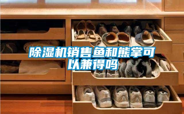 除濕機銷(xiāo)售魚(yú)和熊掌可以兼得嗎