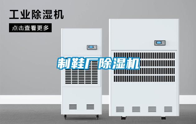制鞋廠(chǎng)除濕機