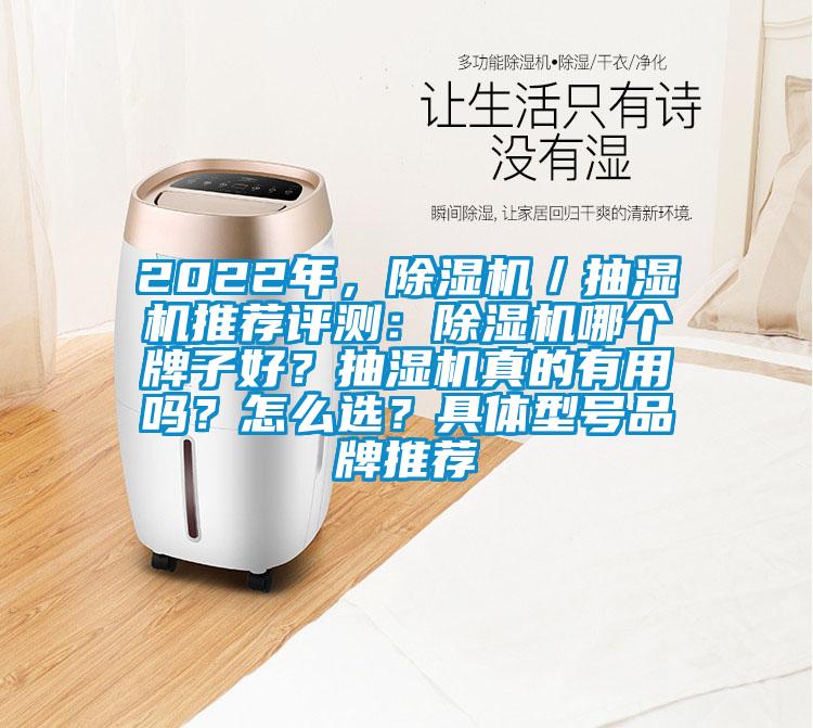 2022年，除濕機／抽濕機推薦評測：除濕機哪個(gè)牌子好？抽濕機真的有用嗎？怎么選？具體型號品牌推薦