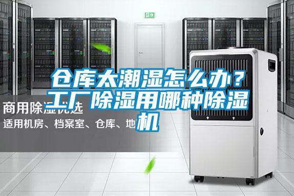 倉庫太潮濕怎么辦？工廠(chǎng)除濕用哪種除濕機