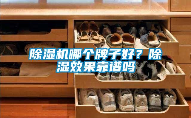 除濕機哪個(gè)牌子好？除濕效果靠譜嗎