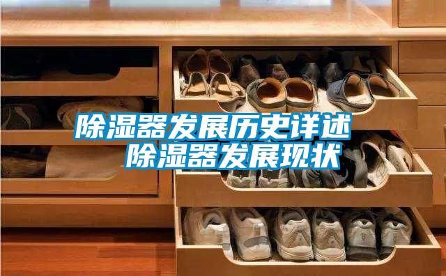除濕器發(fā)展歷史詳述  除濕器發(fā)展現狀