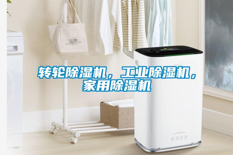 轉輪除濕機，工業(yè)除濕機，家用除濕機