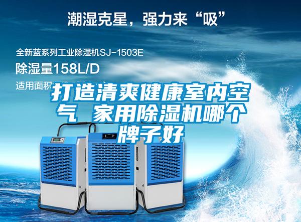 打造清爽健康室內空氣 家用除濕機哪個(gè)牌子好