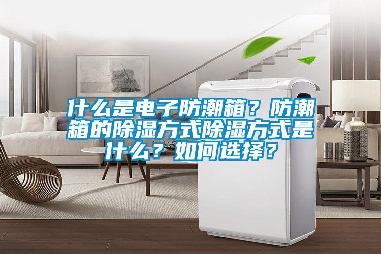 什么是電子防潮箱？防潮箱的除濕方式除濕方式是什么？如何選擇？