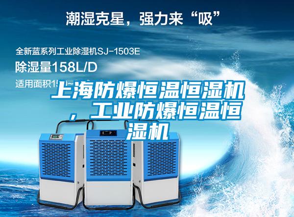 上海防爆恒溫恒濕機 ，工業(yè)防爆恒溫恒濕機